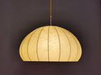 Original 60er Jahre Cocoon Pendelleuchte 0009