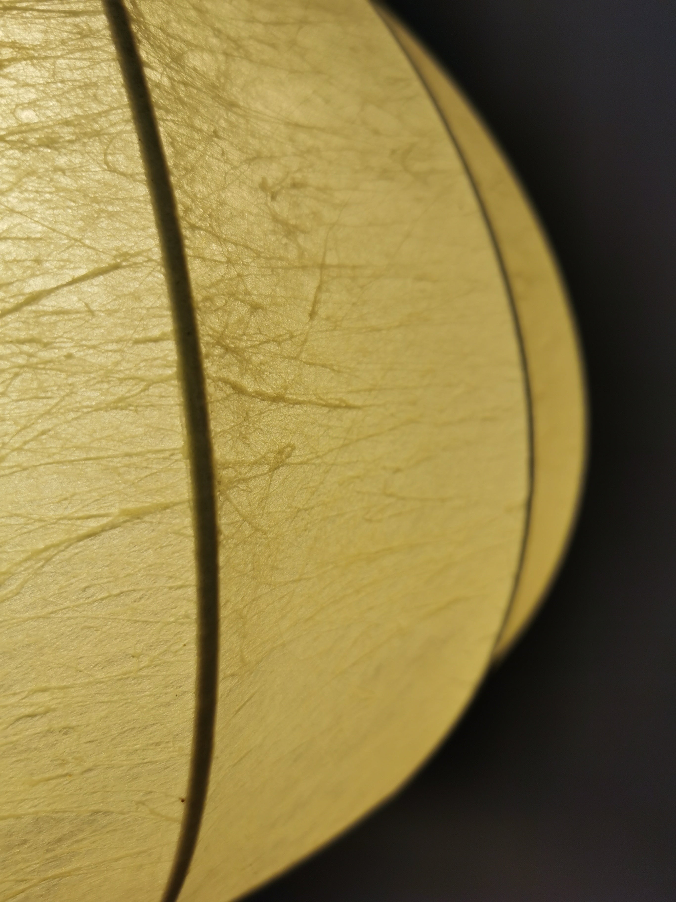 Original 60er Jahre Cocoon Pendelleuchte 0009