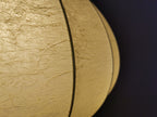 Original 60er Jahre Cocoon Pendelleuchte 0009