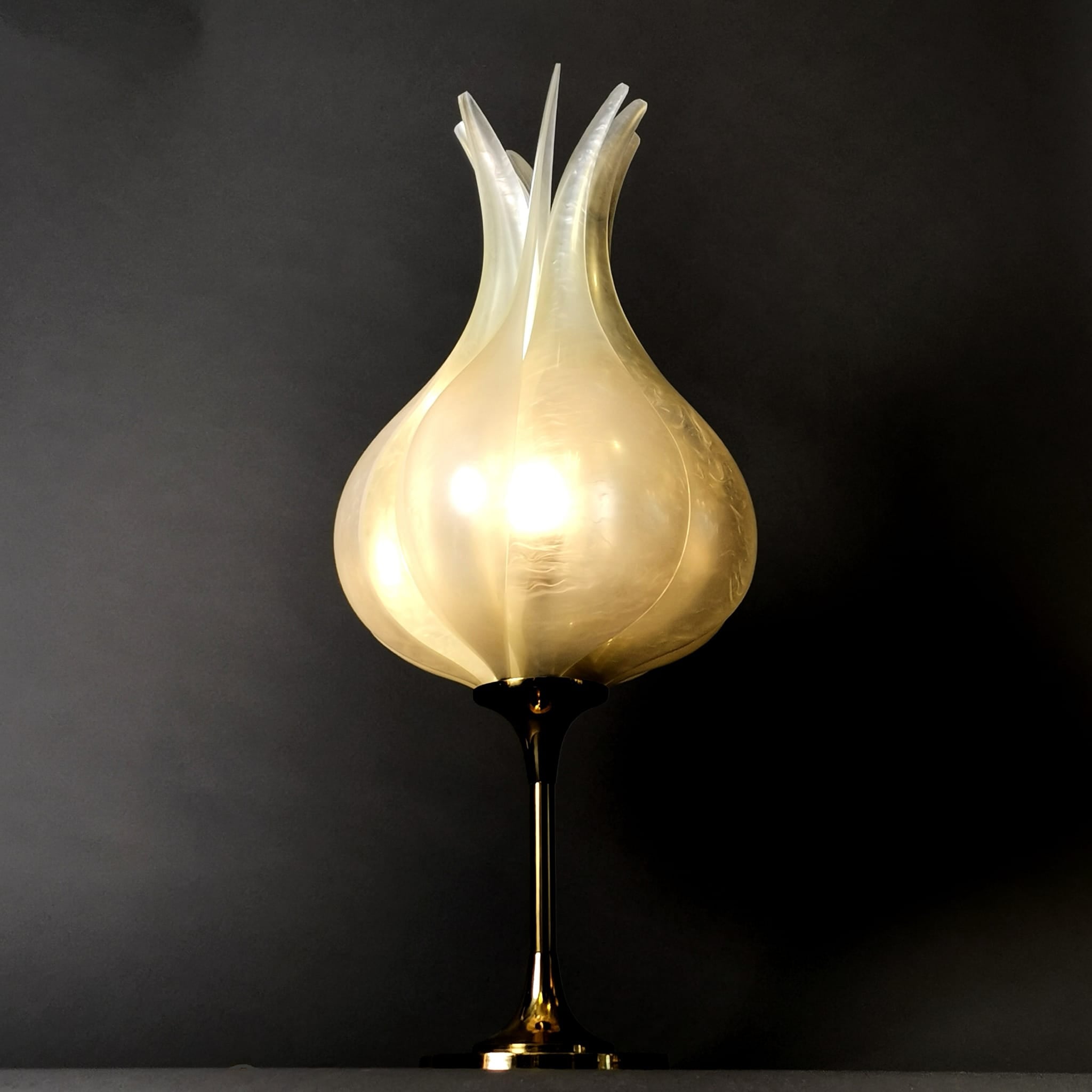Original 60er 70er Vintage Tischleuchte Tischlampe von Maison Rougier nach einem Entwurf von Roger Rougier 0058